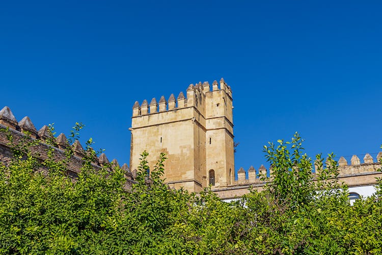 Alcazar Cordoba Guide