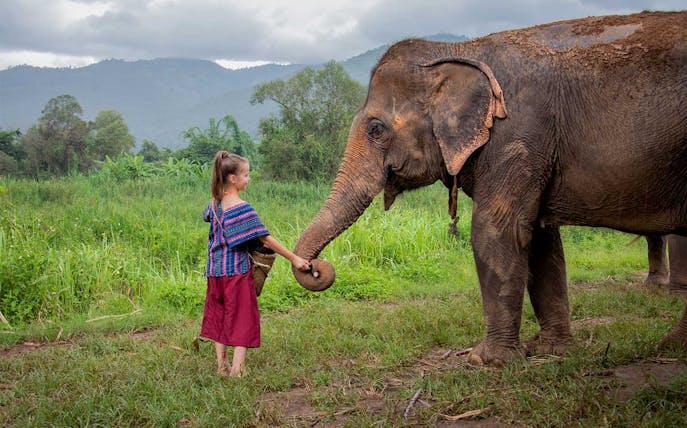 Girl in traditional Karen attire feeding an elephant in Chiang Mai.