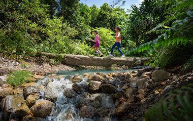 Children crossing a log over a stream in Rainforest Wild Adventure.