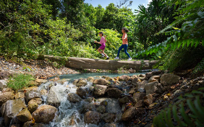 Children crossing a log over a stream in Rainforest Wild Adventure.