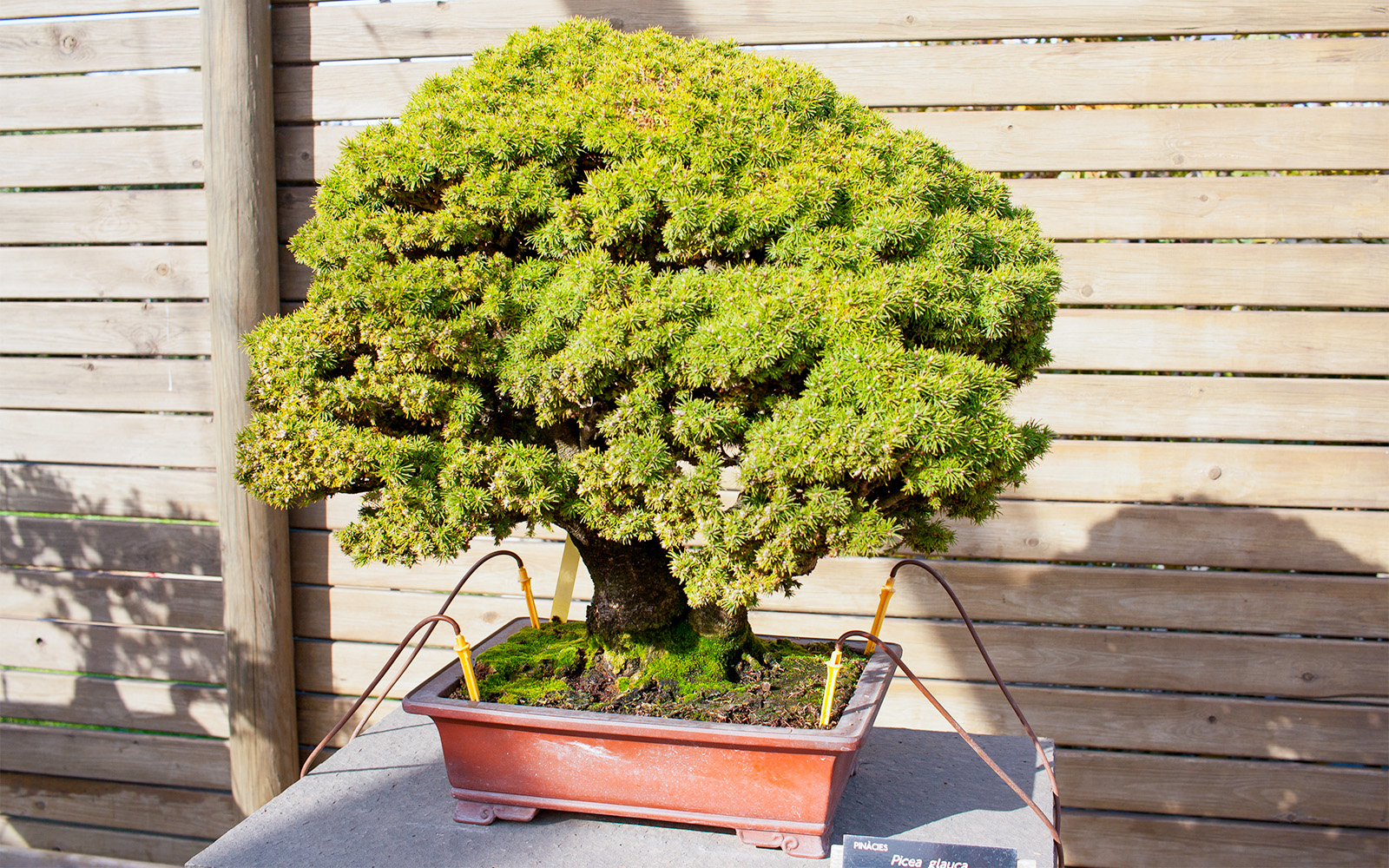 Botanical Garden Barcelona