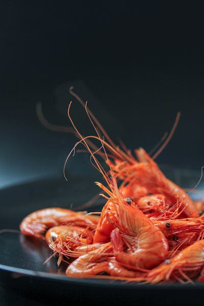 Alcazar Cordoba Guide