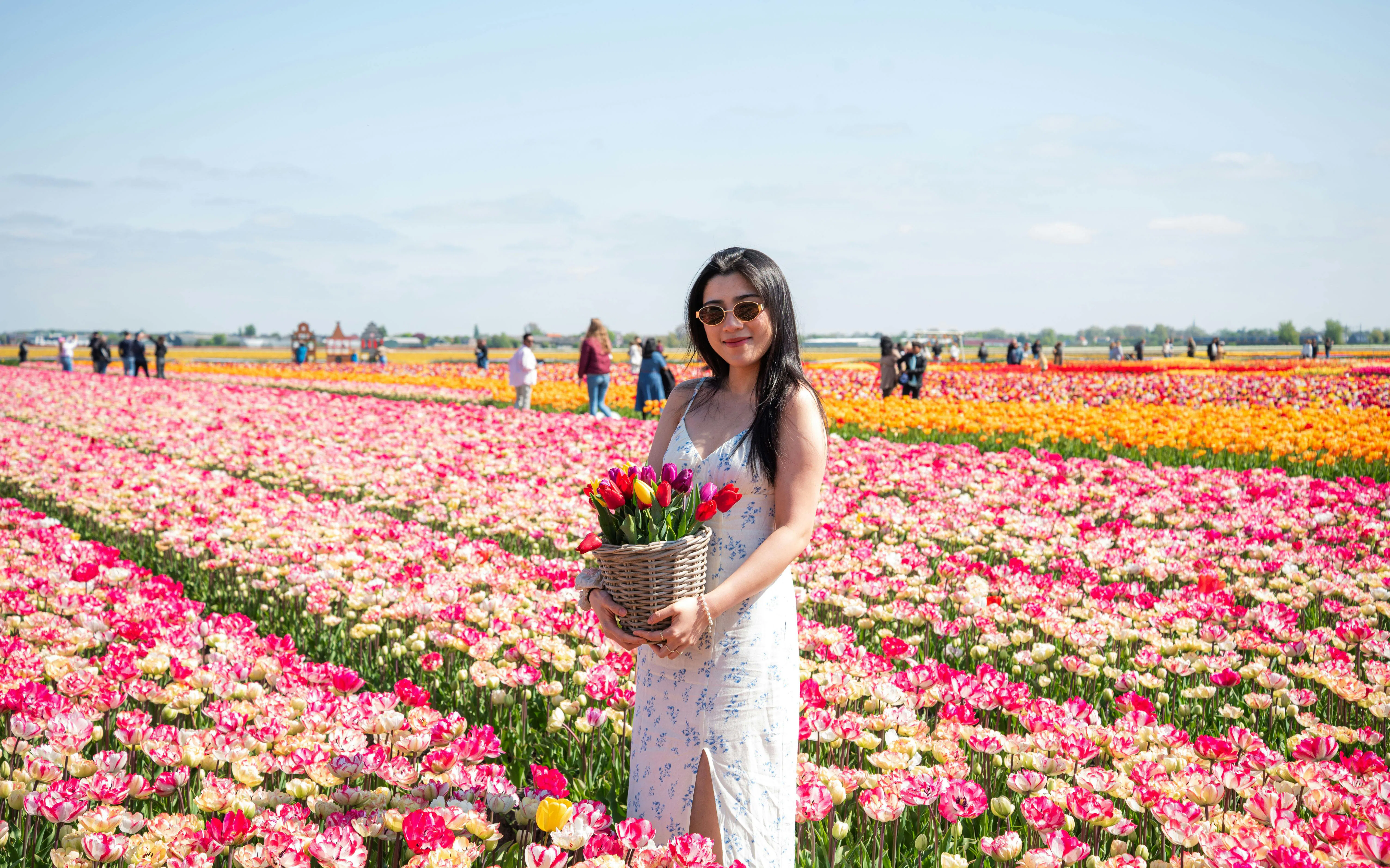 Guest holding tulips in a vibrant field at the Tulip Experience, Amsterdam.