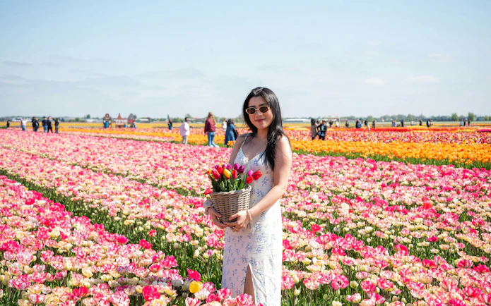 Guest holding tulips in a vibrant field at the Tulip Experience, Amsterdam.