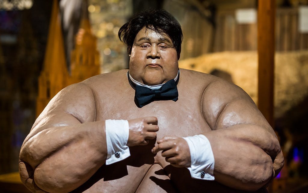 Wax figure of a sumo wrestler at Ripley's Believe It or Not! museum.
