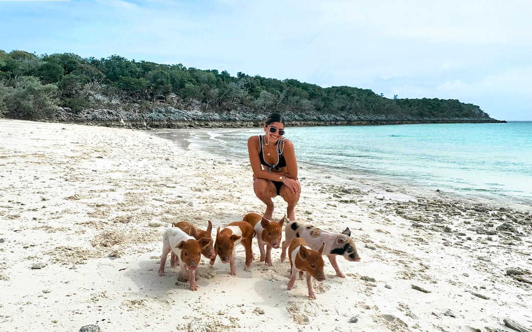 Swimming with pigs on Rose Island beach, Nassau, Bahamas.