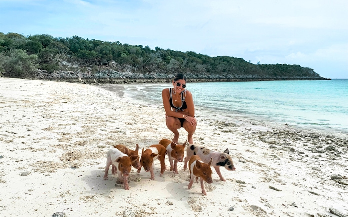 Swimming with pigs on Rose Island beach, Nassau, Bahamas.