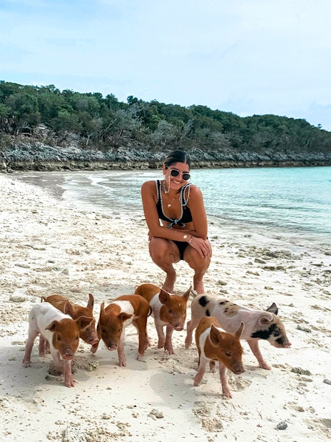 Swimming with pigs on Rose Island beach, Nassau, Bahamas.