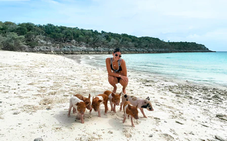 Rose Island: Swim with Pigs Half-Day Trip with Snorkeling at Green Cay