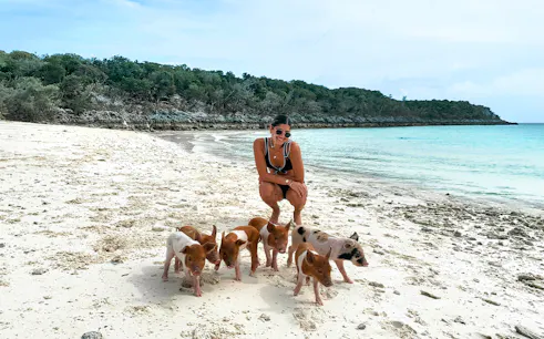 Swimming with pigs on Rose Island beach, Nassau, Bahamas.
