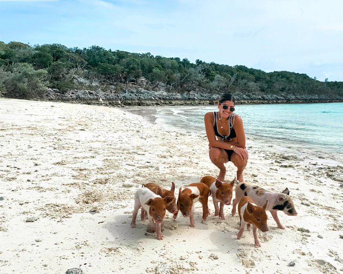 Rose Island: Swim with Pigs Half-Day Trip with Snorkeling at Green Cay
