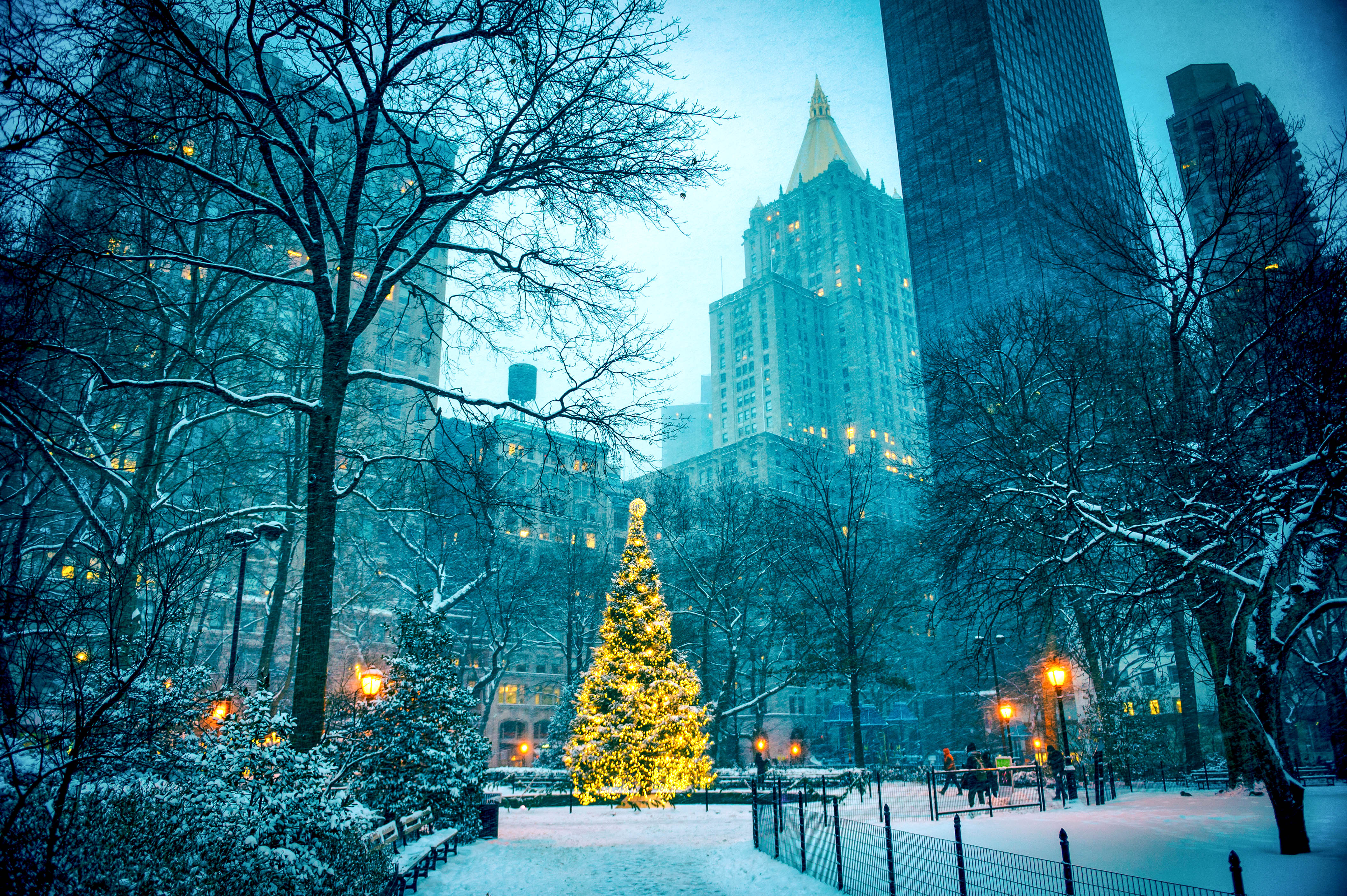 A Guide to Visiting NYC in December Attractions & Events