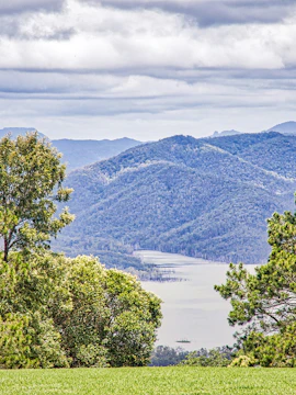 Tamborine National Park landscape with lush greenery and distant mountains, Gold Coast.