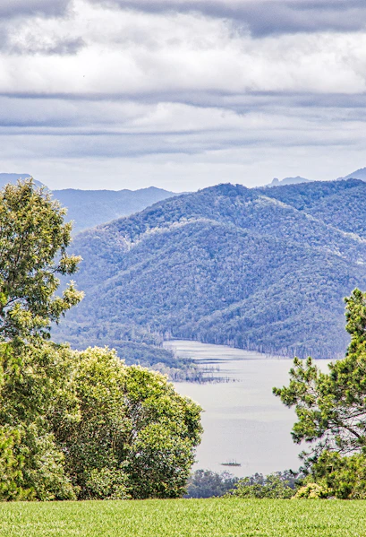 Tamborine National Park landscape with lush greenery and distant mountains, Gold Coast.