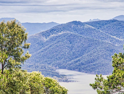 Tamborine National Park landscape with lush greenery and distant mountains, Gold Coast.
