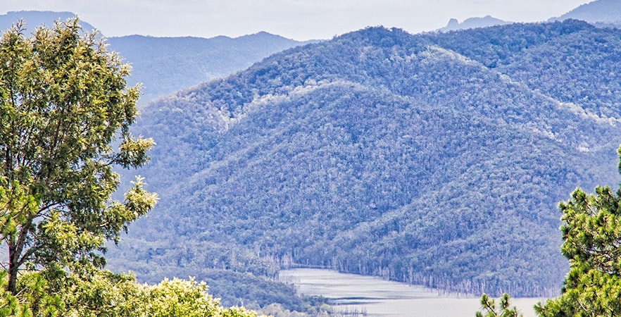 Tamborine National Park