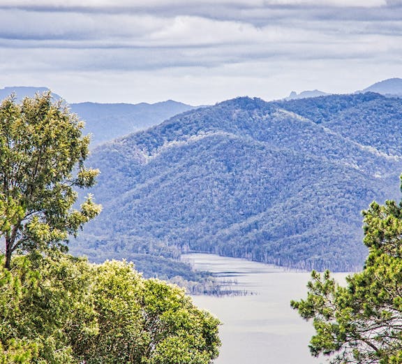 Tamborine National Park landscape with lush greenery and distant mountains, Gold Coast.