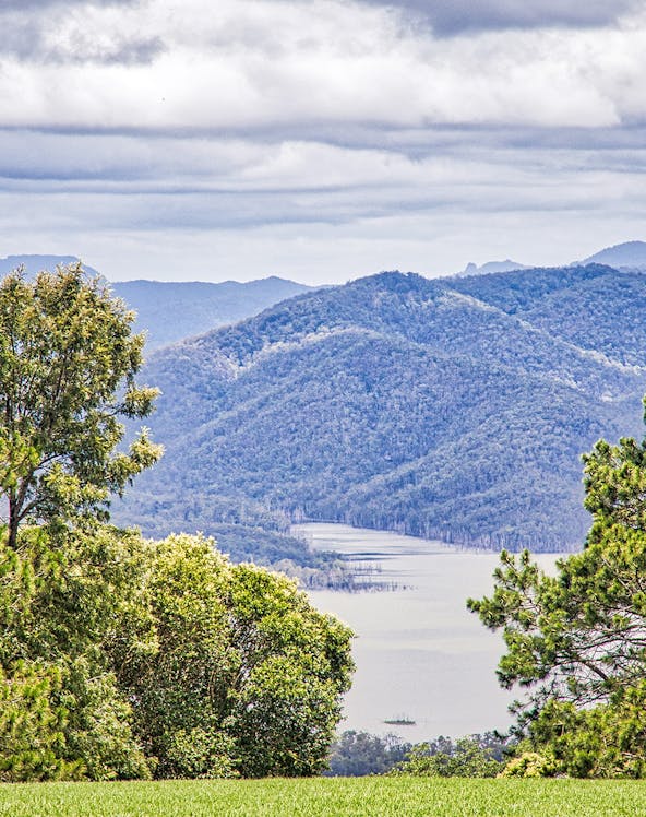 Tamborine National Park landscape with lush greenery and distant mountains, Gold Coast.