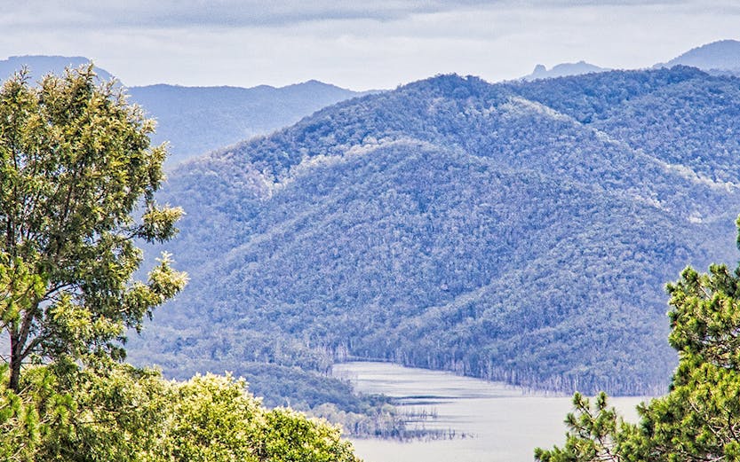 Tamborine National Park landscape with lush greenery and distant mountains, Gold Coast.