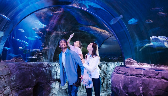 Tropical ocean extravaganza at SEA LIFE Timmendorfer Strand