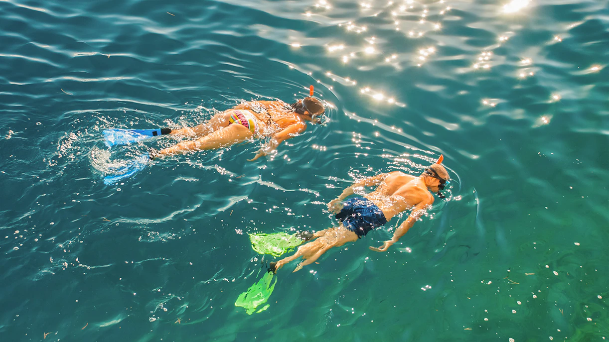 Tourists snorkeling in clear blue water at Rottnest Island on a Fremantle day trip.