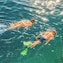 Snorkel