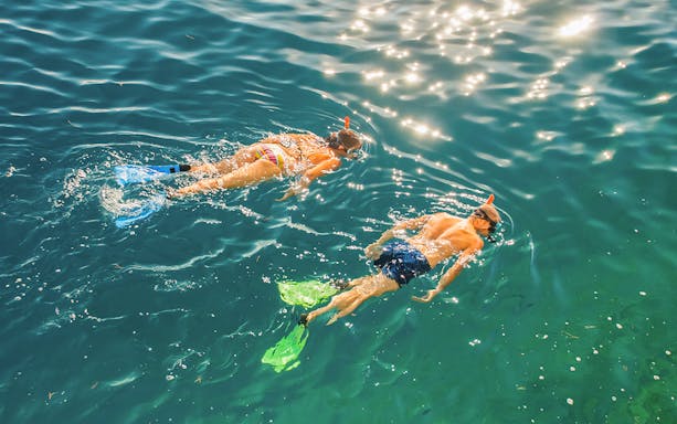 Tourists snorkeling in clear blue water at Rottnest Island during Fremantle day trip.