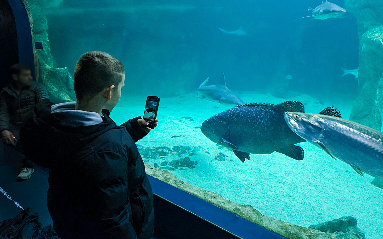 Child photographing fish at Madrid Zoo Aquarium.