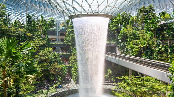 Jewel Changi indoor waterfall surrounded by lush greenery in Singapore.
