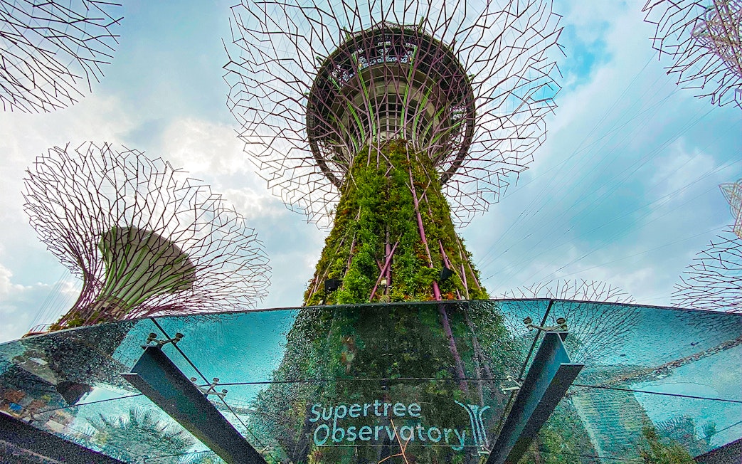 Supertree Observatory at Gardens by the Bay, Singapore, with towering vertical gardens.