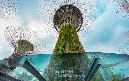 Supertree Observatory at Gardens by the Bay, Singapore, with towering vertical gardens.