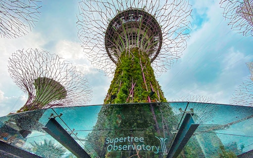 Supertree Observatory at Gardens by the Bay, Singapore, with towering vertical gardens.