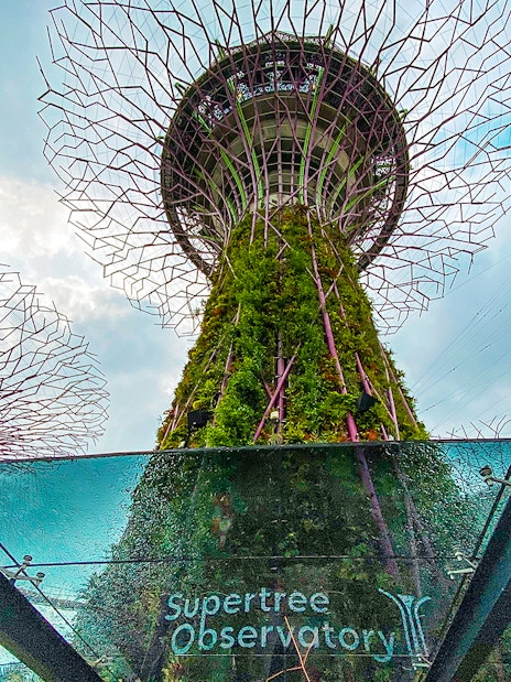Supertree Observatory at Gardens by the Bay, Singapore, with towering vertical gardens.