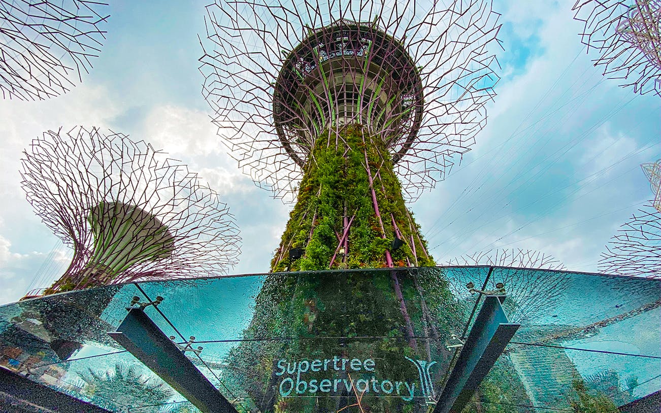 Supertree Observatory at Gardens by the Bay, Singapore, with towering vertical gardens.
