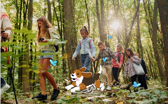 Group of children hiking through a sunlit forest trail with butterflies.