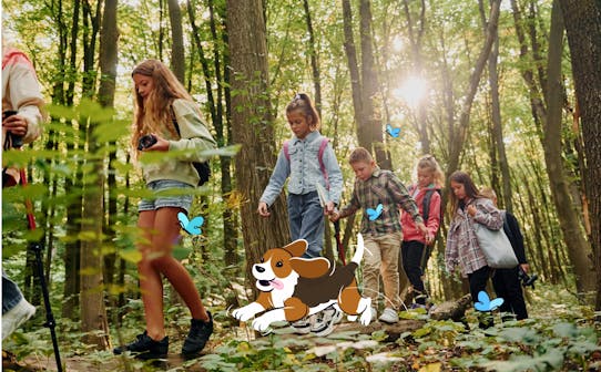 Group of children hiking through a sunlit forest trail with butterflies.