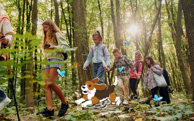 Group of children hiking through a sunlit forest trail with butterflies.