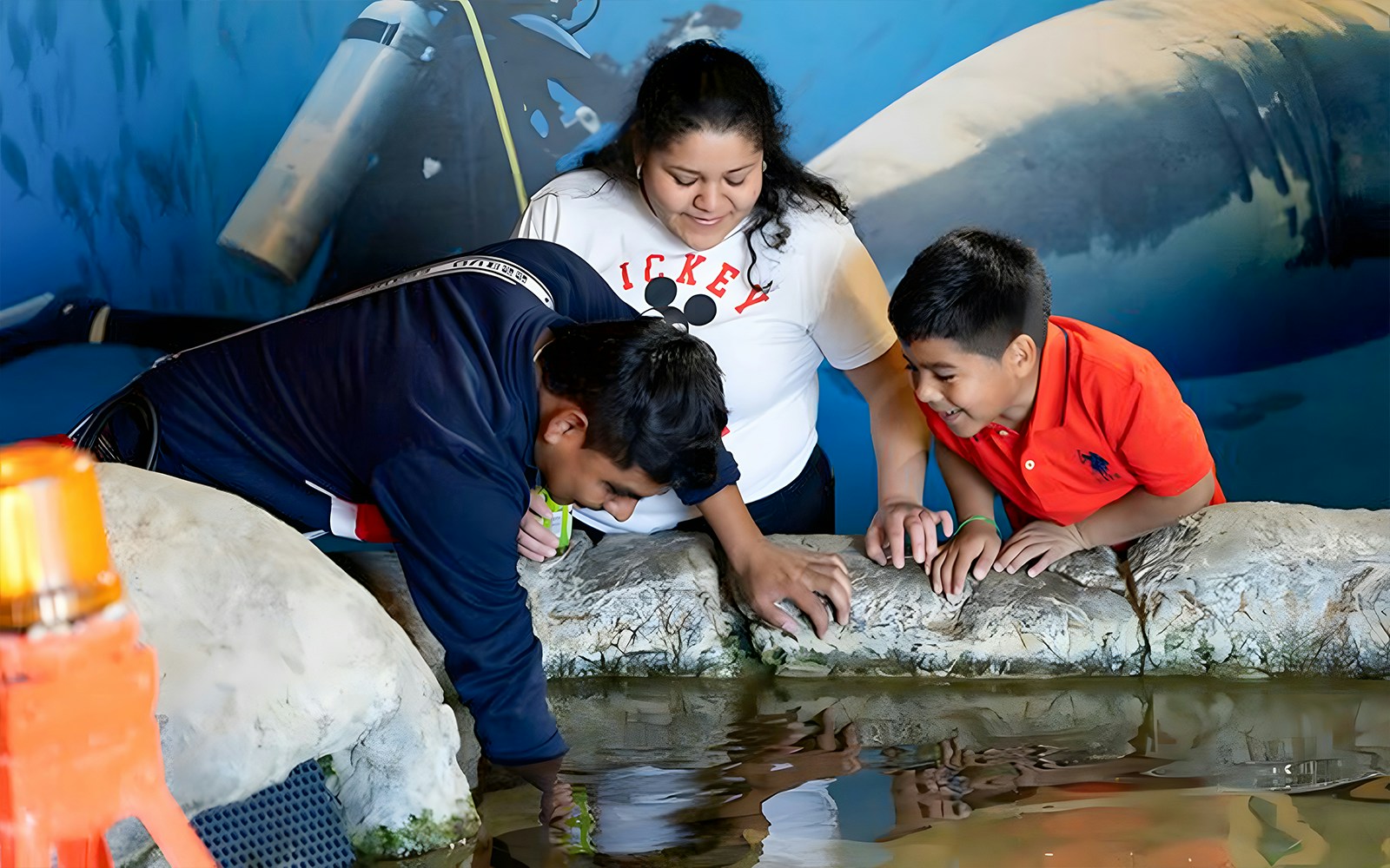 Visitors exploring marine life exhibits at Aquarium of the Bay, San Francisco.