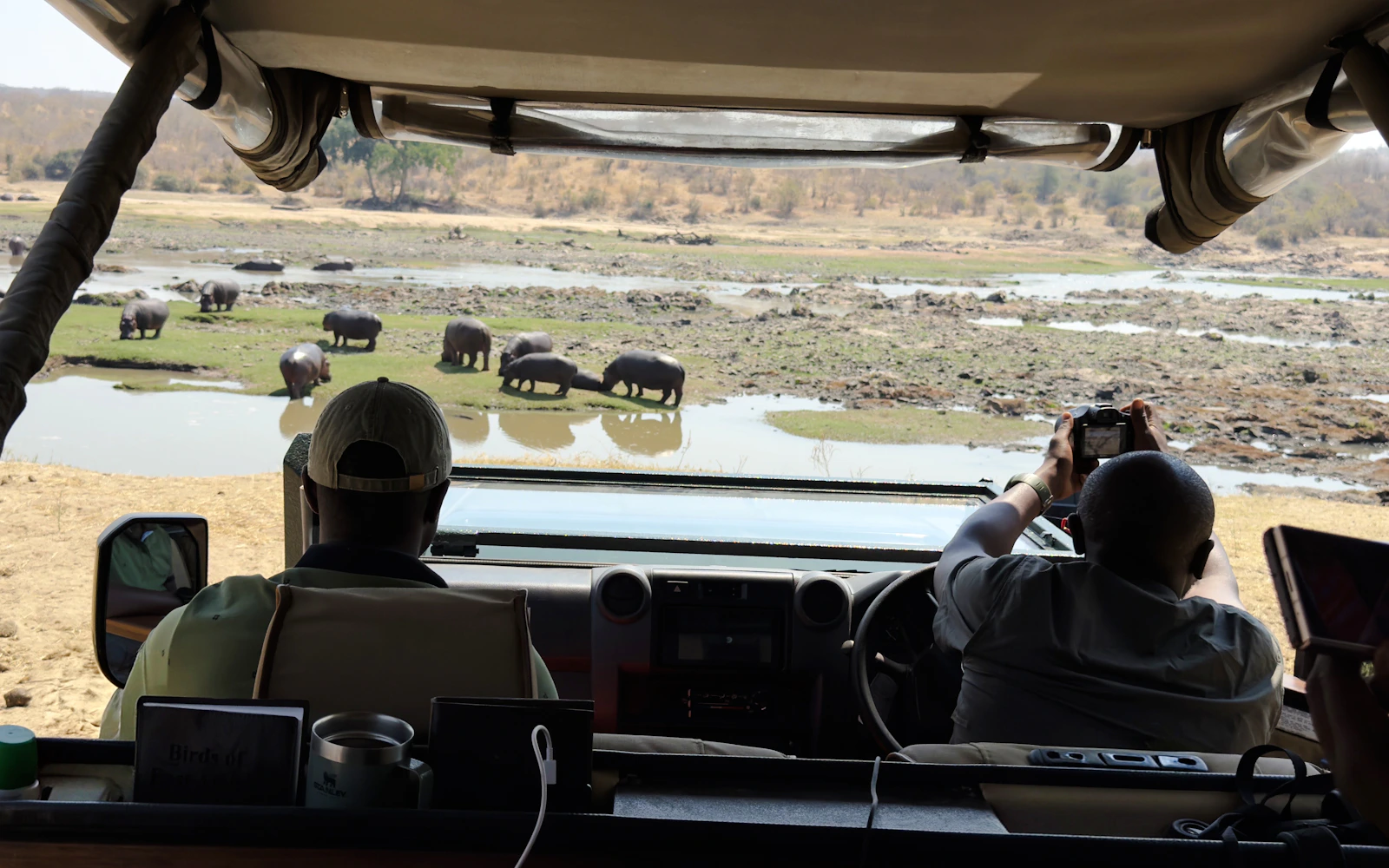 From Zanzibar: Nyerere National Park Fly-in Safari Image 5