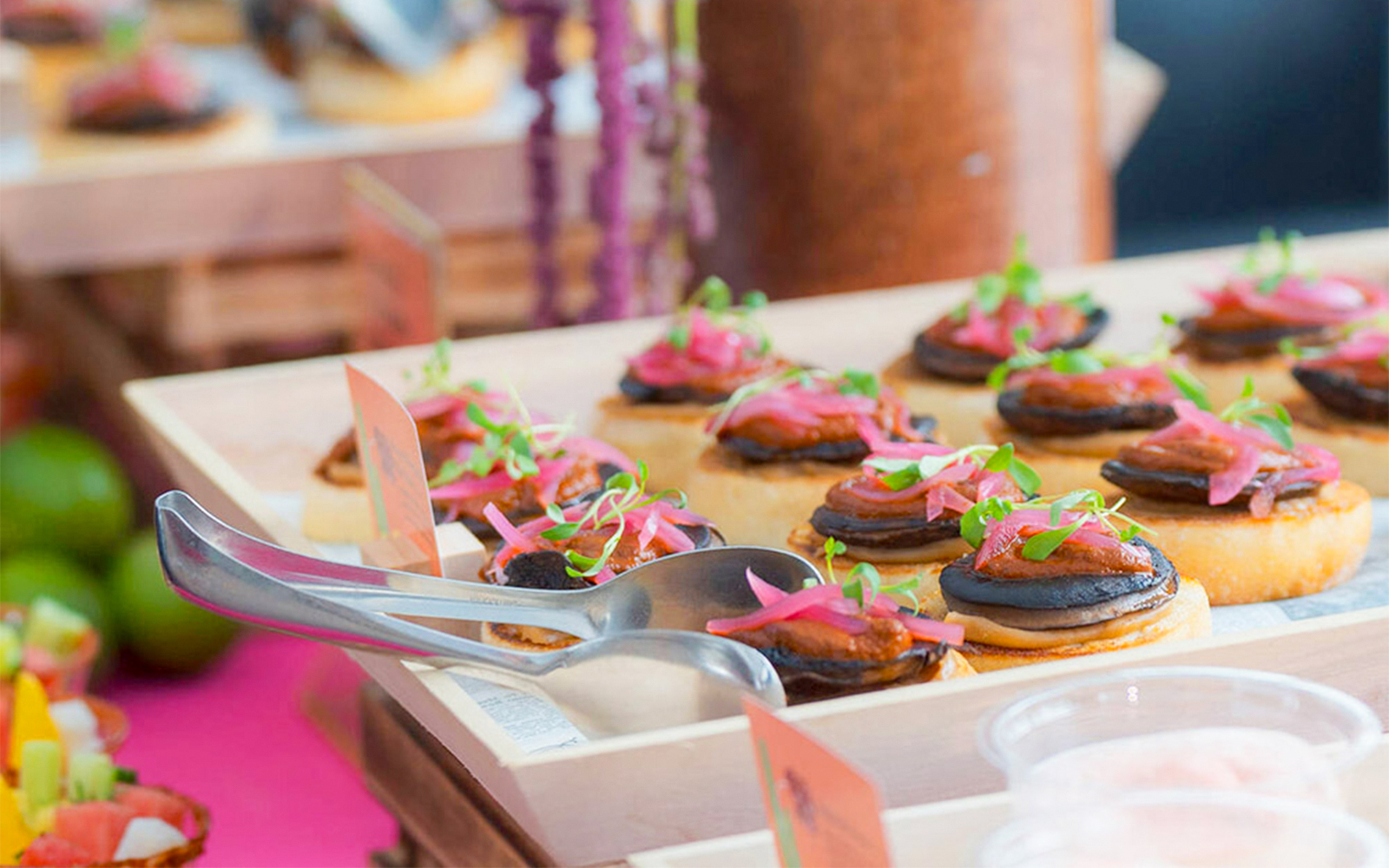 Food platter with appetizers at Pine Tree Café, New York Botanical Garden.