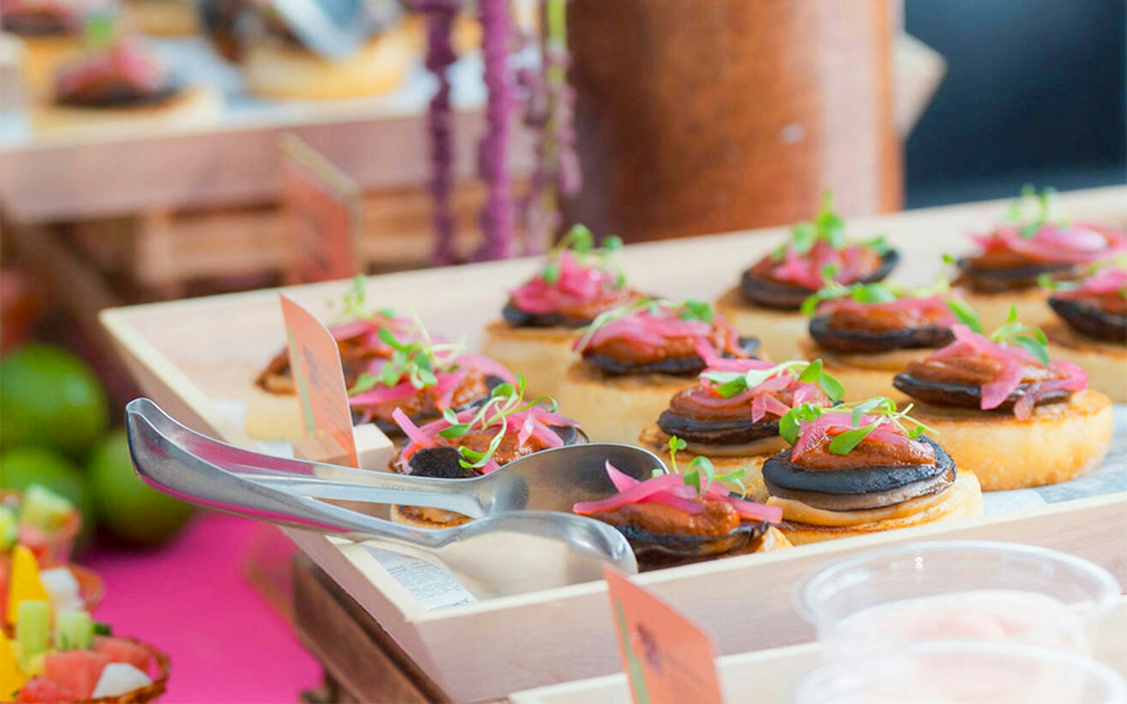 Food platter with appetizers at Pine Tree Café, New York Botanical Garden.