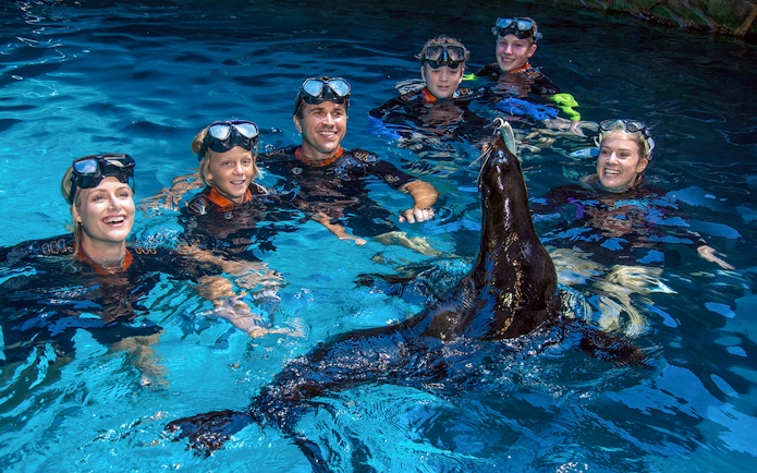 Visitors interacting with a seal at SEA LIFE Sunshine Coast.