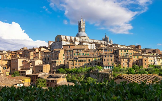 Siena Cathedral rising above the medieval hilltop town of Siena, Tuscany, Italy.