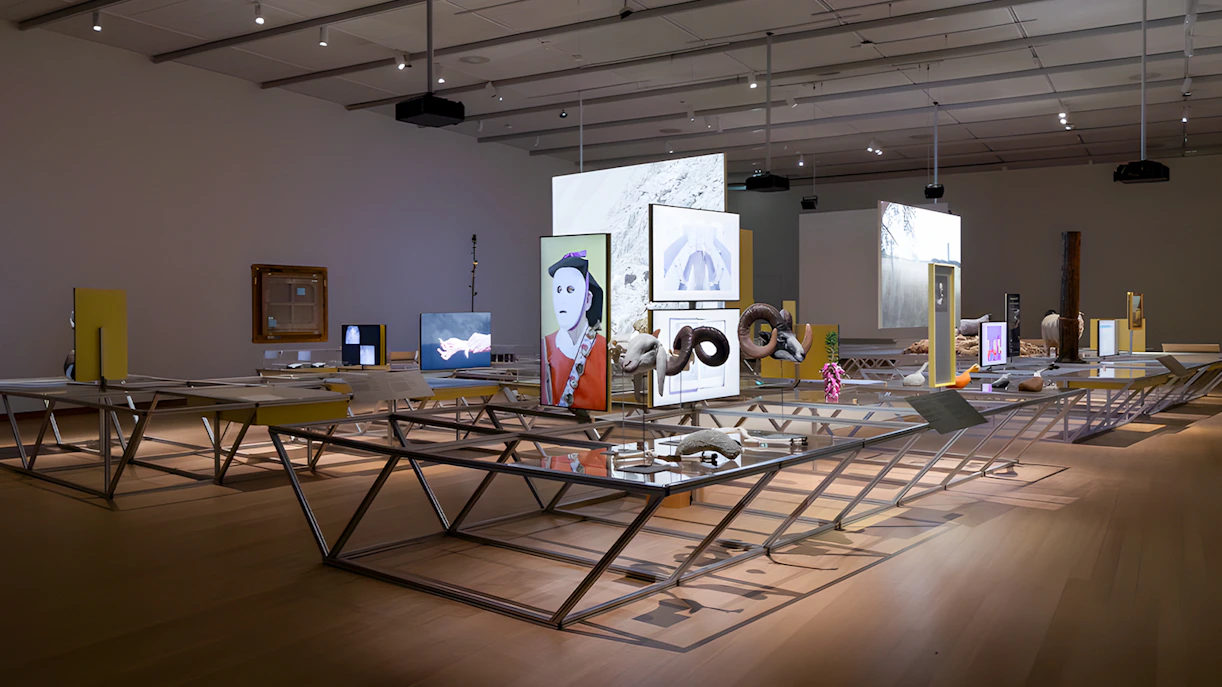 Formafantasma Oltre Terra exhibit at Stedelijk Museum, Amsterdam, featuring multimedia displays.
