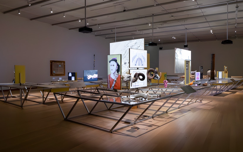 Formafantasma Oltre Terra exhibit at Stedelijk Museum, Amsterdam, featuring multimedia displays.