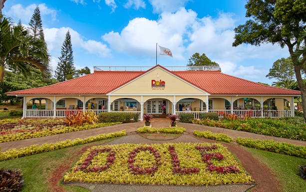 Dole Pineapple Plantation train tour with lush fields in Hawaii.