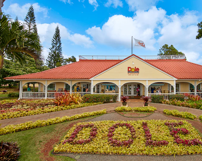 Haleiwa & Dole Plantation Express Half-Day Tour