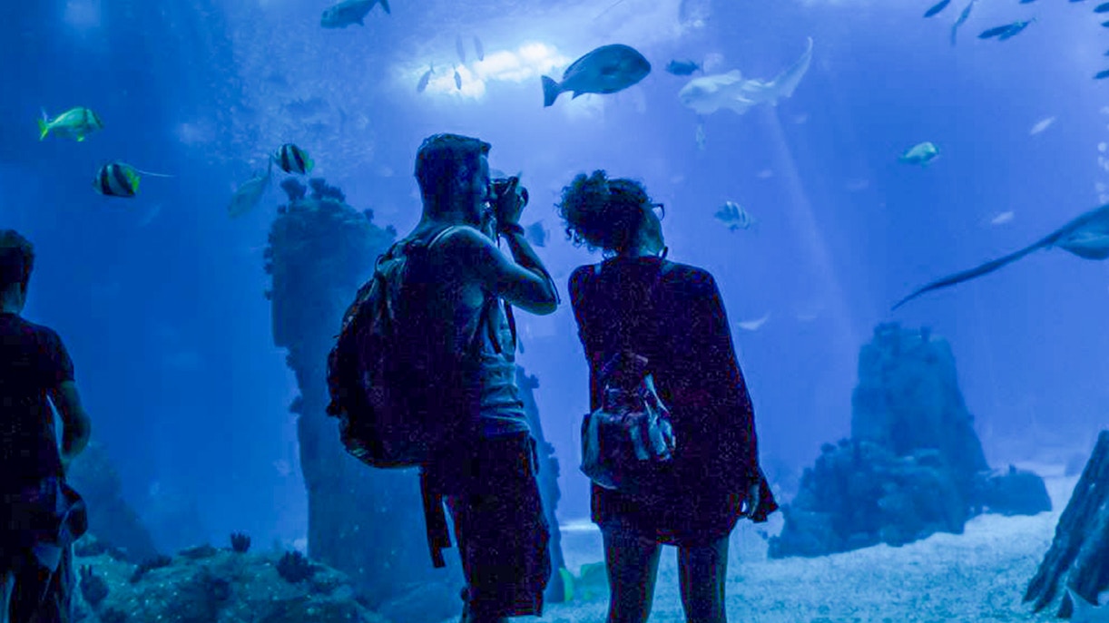 Oceanário de Lisboa