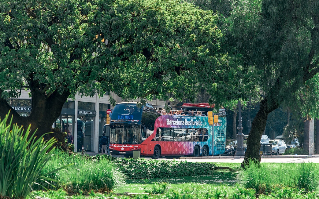 Barcelona Bus Turistic on a city street surrounded by trees.