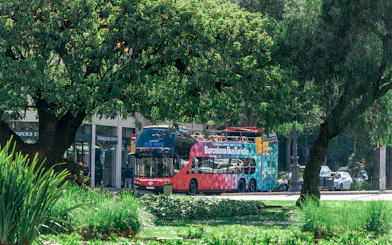 Barcelona Bus Turistic on a city street surrounded by trees.